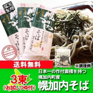 送料無料 蕎麦 乾麺 幌加内 そば 乾麺 250g×3束 価格 1250円 送料無料 そば 幌加内 北海道 ほろかない そば お試し つゆ付き 幌加内蕎麦