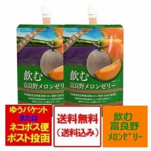 北海道限定 ゼリー飲料 送料無料 飲むゼリー 富良野 ふらの メロンゼリー 100 g×2個 富良野メロン