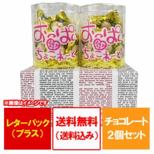 おもしろチョコレート 送料無料 面白いチョコレート バレンタイン チョコ おっぱい ちょこれーと 2個 包装あり 義理チョコ スイーツ お菓