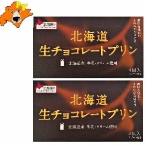 北海道 生チョコレート プリン スイーツ 送料無料 プリン 常温 プリンギフト ベル食品 1箱(4個入)×2個 生 チョコレート