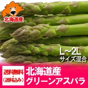 アスパラ 送料無料 アスパラガス 北海道 グリーンアスパラ 北海道産 アスパラ Lサイズ・2Lサイズ 各450 g 混合 合計 900  g(900 グラム) 