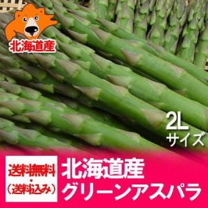 アスパラ 送料無料 アスパラガス 北海道 グリーンアスパラ 2Lサイズ 520g 北海道 春旬野菜 アスパラガス 野菜