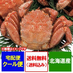 毛ガニ 送料無料 毛蟹 北海道 けがに 浜茹で 毛がに ボイル 北海道産 毛ガニ 1尾(400g) 魚介類 シーフード カニ