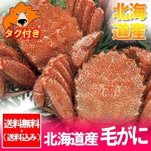 北海道産 毛ガニ 特大 送料無料 毛蟹 浜ゆで かに 北海道 けがに 2尾 (800g×2) 毛ガニ / 毛蟹 / 毛がに ボイル カニ ギフト 贈答品 魚介