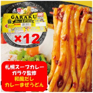 札幌スープカレー ガラク カレーうどん 和風だし カレーまぜうどん 12個 1箱(1ケース) GARAKU カレー うどん 麺類 惣菜 電子レンジ 簡単