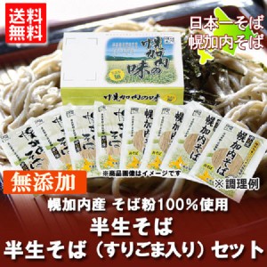 半生 そば ギフト 送料無料 半生そば 蕎麦ギフト 北海道 幌加内 そば 化粧箱入 価格4320円 ほろかない 蕎麦