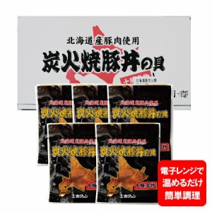 豚丼の具 送料無料 北海道 十勝 豚丼 冷凍 簡単調理 炭火焼豚丼の具 ぶた丼 たれ 付 100g×5 化粧箱入 北海道産 豚肉 使用 ぶたどん ブタ