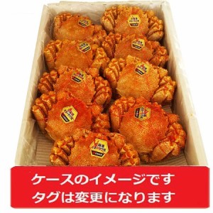 北海道産 毛ガニ 送料無料 北海道 浜ゆで 毛がに / 毛蟹 / 毛ガニ 北海道産 毛蟹 9尾入 1ケース 4kg まとめ買い 毛ガニ 魚介類 カニ