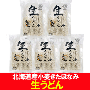 うどん 送料無料 生うどん 生麺 北海道産小麦 きたほなみ なまうどん 1袋(2人前)×5袋 うどん / ウドン / 饂飩 3000 円 ポッキリ 送料無