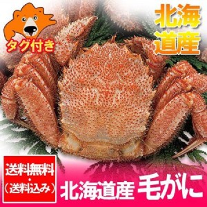 毛ガニ 特大 送料無料 毛蟹 北海道 けがに ボイル 毛がに 北海道産 毛蟹 浜茹で けがに 1尾 (800g) 魚介類 シーフード カニ 毛ガニ タグ