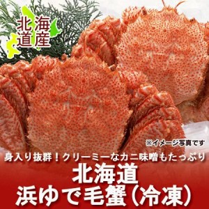 北海道 毛ガニ 2尾 送料無料 けがに 北海道産 毛蟹 2尾 (400g×2) 浜茹で ケガニ ボイル 魚介類 シーフード カニ 10000 ポッキリ