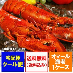 オマール海老 送料無料 オマールエビ ボイル 10尾(1尾 400g〜450g×10) 1箱(1ケース) オマール海老 冷凍 ロブスター 魚介類 水産加工品 