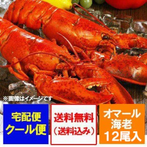 えび 海老 エビ 送料無料 ボイル オマールエビ 12尾 (1尾 350g前後) 1箱(1ケース) 海鮮 ギフト オマール海老