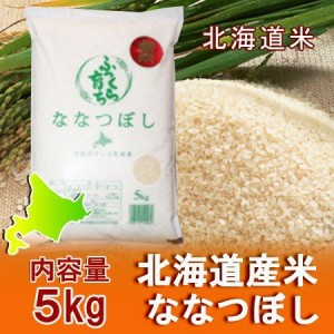 北海道米 米 5kg 送料無料 北海道 米 ななつぼし 5kg 比布町産米 ななつぼし 米 5kg 北海道産米 米 白米 うるち米