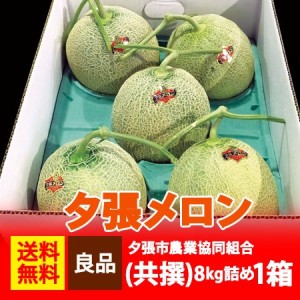 夕張メロン 送料無料 夕張メロン 8kg　5玉入 1箱(1ケース) 北海道 夕張 メロン 良品 夕張メロン 夕張農協共撰 メロン ゆうばりめろん 果