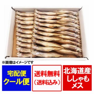 北海道 ししゃも 送料無料 ししゃも メス 子持ちししゃも 北海道産 シシャモ 30尾 化粧箱入