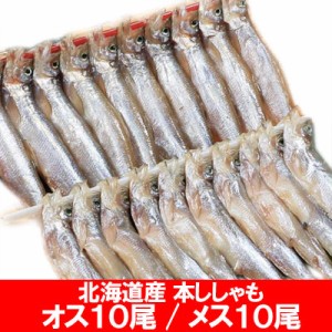 ししゃも 送料無料 本ししゃも 北海道産 ししゃも オス 10尾 / ししゃも メス 10尾 (計20尾) 化粧箱入