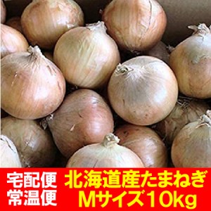 玉ねぎ 10kg 送料 無料の通販｜au PAY マーケット