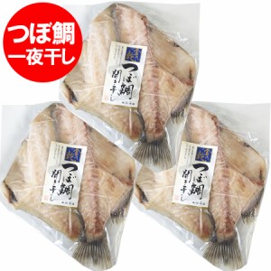 つぼだい 送料無料 つぼ鯛 一夜干し 国産 つぼ鯛 開き 1枚真空×3枚セット 魚 ツボダイ 干物 ツボ鯛 一夜干し 魚介類 干物 ひもの