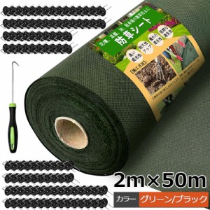 防草シート 除草シート 2mx50m 雑草シート 高耐久 不織布 雑草防止 雑草対策 除草剤不要 雑草防止シート 除草 草取り 雑草 草よけ 防止  