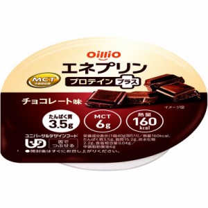 日清オイリオ　エネプリンプロテインプラスチョコレート味 40g　