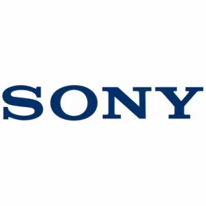 ソニー　SONY　WFSP900(水泳用) イヤーピース1個　ZZSP9SWEPLK