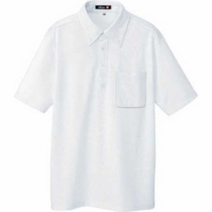 アイトス　ボタンダウン半袖ポロシャツ ホワイト LL　10599001LL