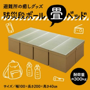 イケヒコ　【防災用品】簡易段ボールベッド+畳マットレス(い草マットレス5連タイプ/ベッド用段ボール8箱連結)　