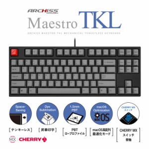 ARCHISS アーキス　Maestro TKL(CHERRY MX 青軸・Windows11  macOS対応) メカニカル テンキーレス 英語配列 87キー [有線 USB]　ASKBM87C