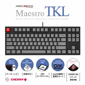 ARCHISS アーキス　Maestro TKL(CHERRY MX 静音赤軸・Windows11  macOS対応) メカニカル テンキーレス 英語配列 87キー [有線 USB]　ASKB