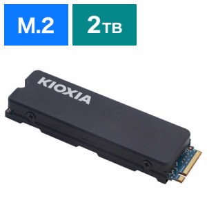 KIOXIA キオクシア　ヒートシンク付き内蔵SSD　SSD-CK2．0N4HS