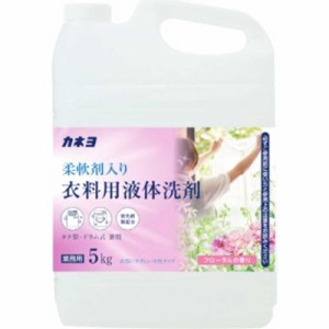 カネヨ石鹸　カネヨ柔軟剤入り衣料用洗剤 5kg　