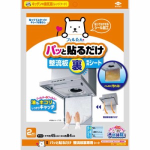 東洋アルミエコープロダクツ　パッと貼るだけ 整流板裏専用シート2枚入　25430