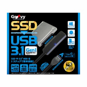 GROOVY　SATA ⇔ USB-A･USB-C 3.1接続ケーブル Groovy ブラック　UD-3101P