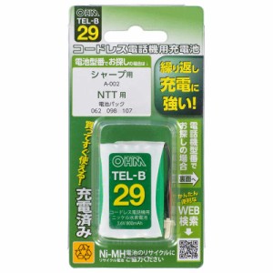 オーム電機　コードレス電話機用充電池 長持ちタイプ　TEL-B29