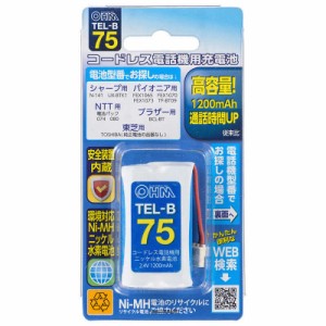 オーム電機　コードレス電話機用充電池 高容量タイプ　TEL-B75