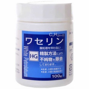 大洋製薬　ワセリン 100g　