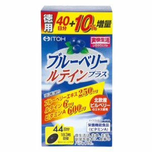 井藤漢方製薬　ブルーベリールテインプラス 徳用 132粒　