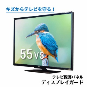 ニデック　液晶テレビ用保護パネル ディスプレイガード (55V型対応)　C2ADGC205505126