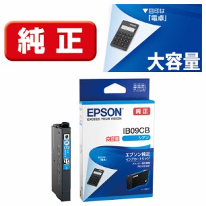 エプソン　EPSON　純正インクカートリッジ シアン 大容量インク　IB09CB