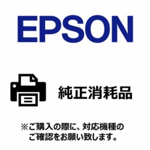 エプソン　EPSON　ラベルプリンター用紙＜普通紙＞レシート　NP1N1054F