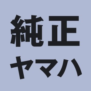 YAMAHA(ヤマハ) バイク 【純正部品】ブレーキシューセット 5CP-X2533-00 