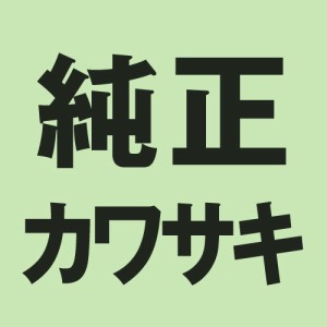 KAWASAKI(カワサキ) バイク オイルシール・Oリング 【純正部品】リング(0) 92055-1233 