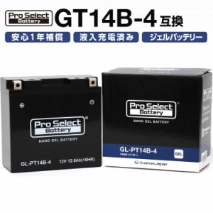 ProSelect(プロセレクト) バイク GL-PT14B-4 ナノ・ジェルバッテリー(GT14B-4 互換)(ジェルタイプ 液入充電済) PSB119 密閉型MFバッテリ