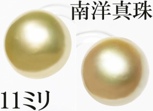 白蝶真珠 南洋真珠 パール 11mm ピアス K18 クリーム イエロー フォーマル 鑑別書