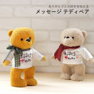 おばあちゃん メッセージ ぬいぐるみ 敬老ベア3S(メッセージテディベア) プレゼント 雑貨 花以外 置物 飾り物 記念日 ありがとうギフト