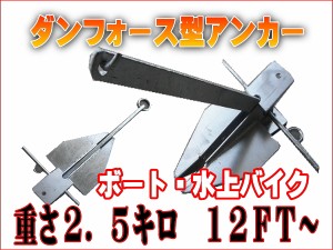 ダンフォース型アンカー 2.5キロ 小型ボート用