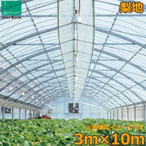 ビニールハウス 農ビ 梨地 3×10m 0.1mm厚 トンネルシート 農業用ビニール フィルム ビニールハウス 防風 保温 風よけ 霜よけ