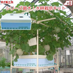 水耕栽培キット 家庭用 家庭菜園 野菜作り 屋内 水耕栽培 セット プロ仕様 ホームハイポニカ303 ハイポニカ