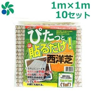 芝生 種まき 養生 育成 貼るだけ芝生シート 1m×1m 10枚セット (10平米分) 植え替え 庭 雑草対策